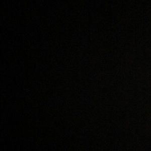 Meet your Posher, Gavin